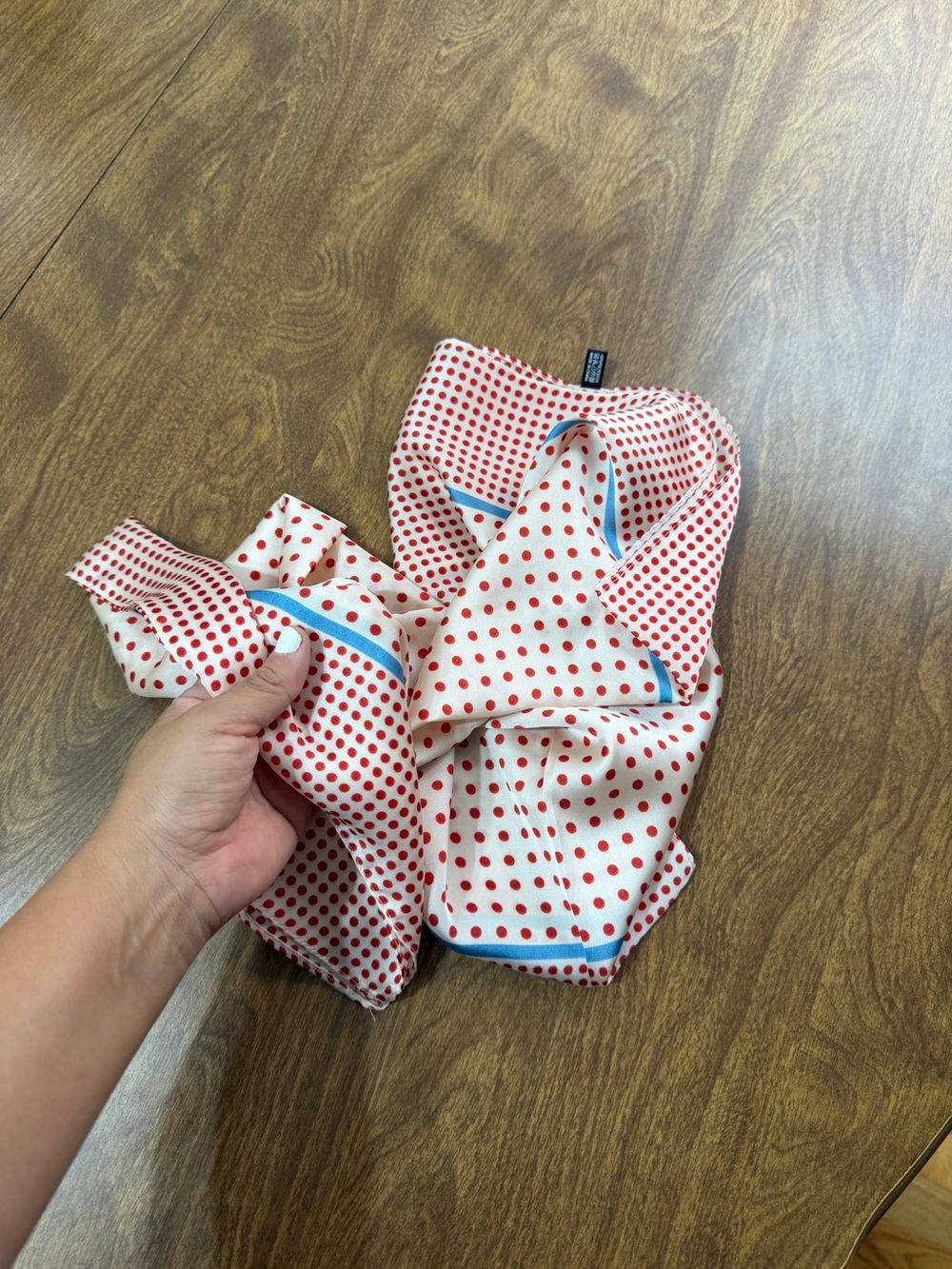 Red Polka Dot Scarf with Blue Trim